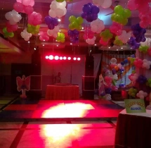 birthday Theme Decor